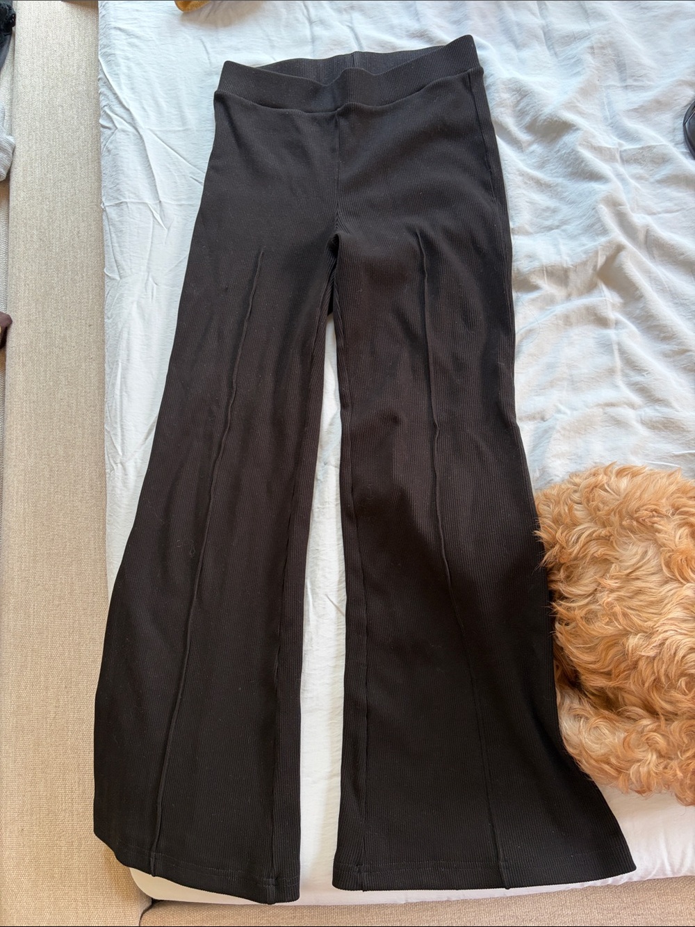 Donni kick flare pants in black